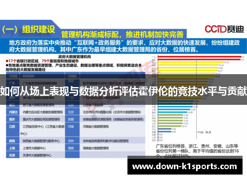 如何从场上表现与数据分析评估霍伊伦的竞技水平与贡献